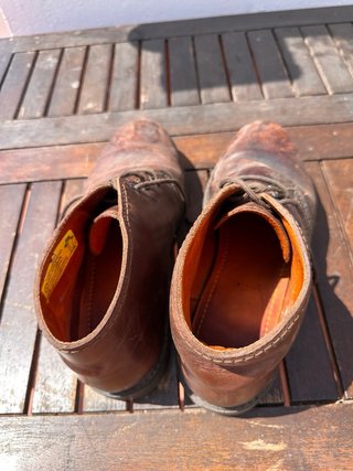 Botas Panama Jack Marrones