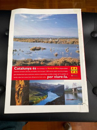 Revista 20 Anys El Temps