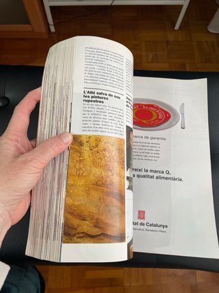 Revista 20 Anys El Temps