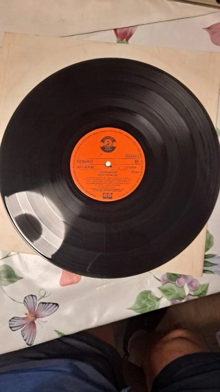 David Allan Coe - Texas Moon LP (1980)