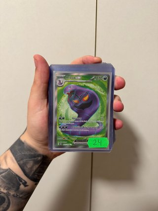 Arbok EX 151 Español