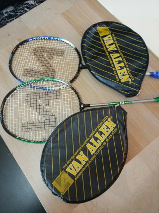 Raquetas de bádminton Van Allen (2 unidades)