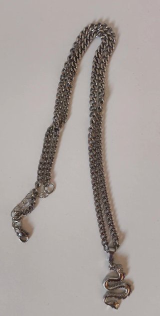 Cadena con colgante de dragón plateado