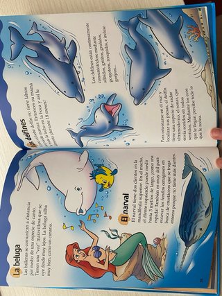 Explora con Ariel los animales del mar