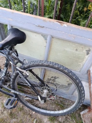 Bicicleta BOOMERANG STORM