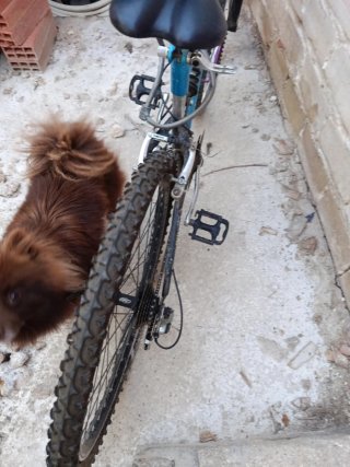 Bicicleta azul