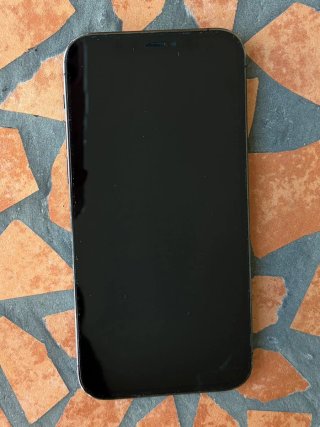 iPhone 12 Pro 256GB 100% bateria