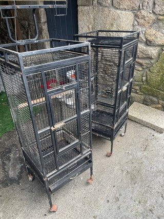 2 jaulas para loros una mejor que otra pregunta