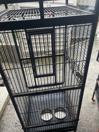 2 jaulas para loros una mejor que otra pregunta