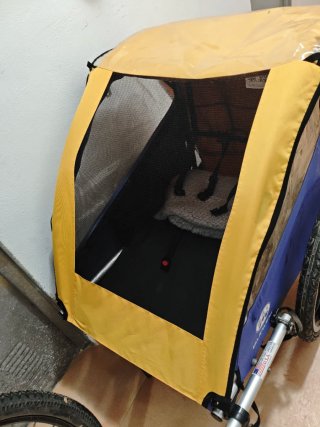 Remolque carrito para Bicicleta Burley