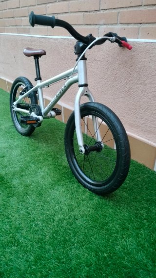 Bicicleta Early Rider 16 Niño