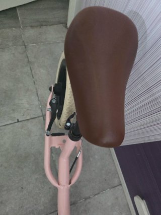 Bicicleta sin pedales rosa 10 pulgadas