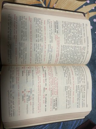 Biblia romana