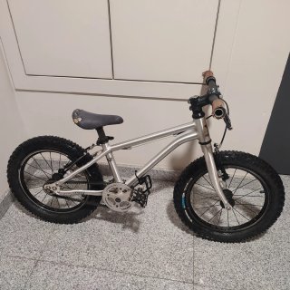 Bicicleta Early Rider 16 Usada