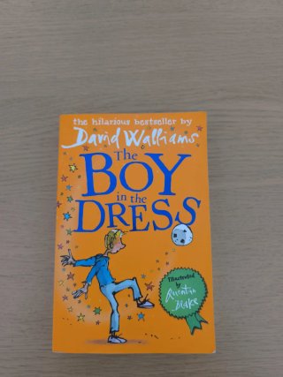 The Boy in the Dress