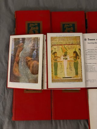 Lote 17 tomos El Tesoro de la Juventud 1958