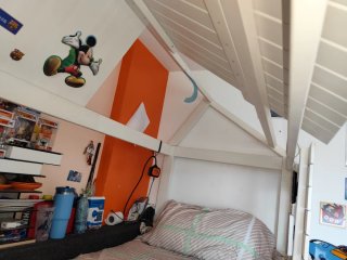 Cama litera infantil con diseño de tiburón