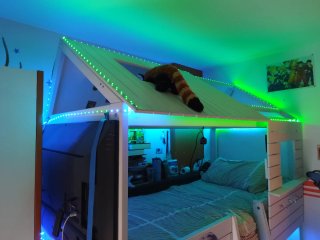 Cama litera infantil con diseño de tiburón