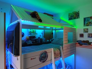 Cama litera infantil con diseño de tiburón