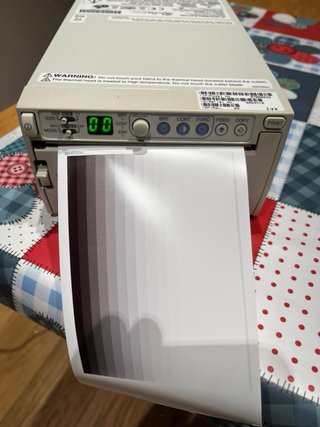 Impresora Mitsubishi P93W
