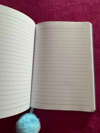 Quaderno Stitch con pompon