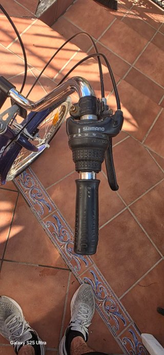 Bicicleta 3 Ruedas GOMIER con Cesta