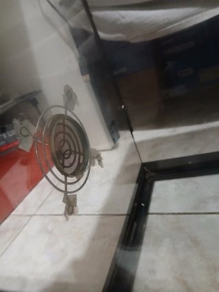 Terrario de Cristal Negro
