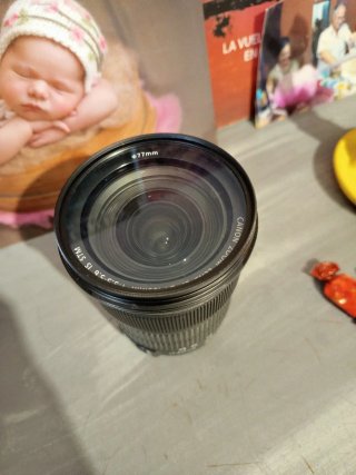 Canon 24-105mm IS STM 3.5-5.6