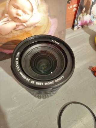 Canon 24-105mm IS STM 3.5-5.6