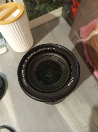 Canon 24-105mm IS STM 3.5-5.6