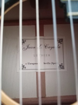 Guitarra amplificada