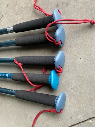 Bastones de trekking Quechua Forclaz 100