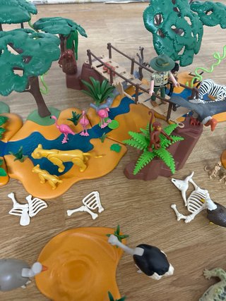 Playmobil Río Salvaje