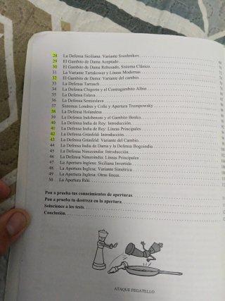 Aperturas de ajedrez para niños