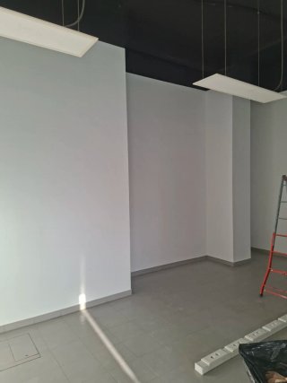 Pintor Profesional y Alisar paredes Empapelador...