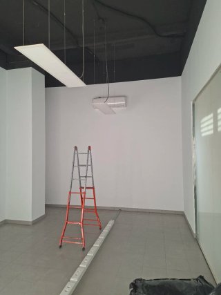 Pintor Profesional y Alisar paredes Empapelador...