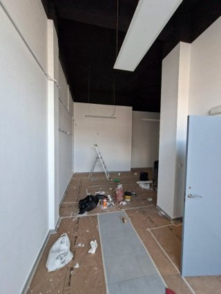 Pintor Profesional y Alisar paredes Empapelador...