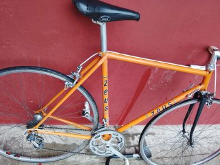 Bicicleta Zeus Naranja