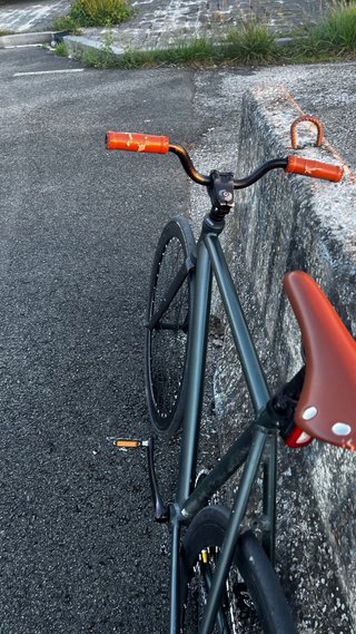 Bicicleta Fixie Gris