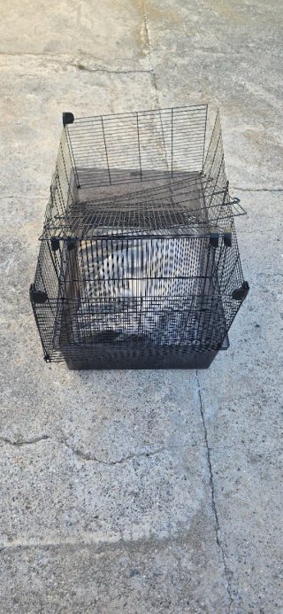 Jaula metálica con bandeja de plástico, mascotas