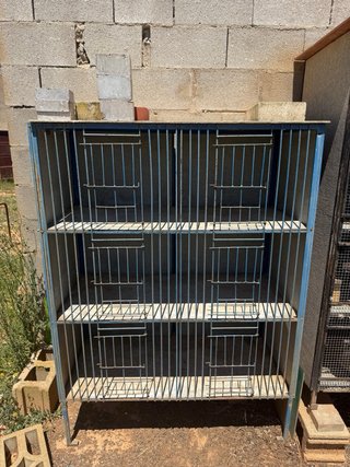 Mudaderos para palomos