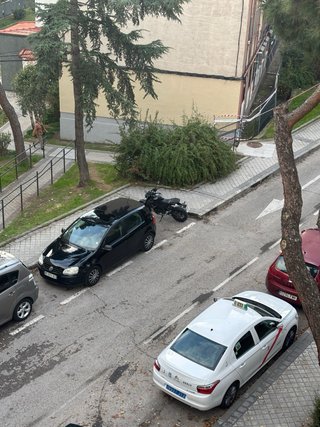 Volkswagen Golf 2006