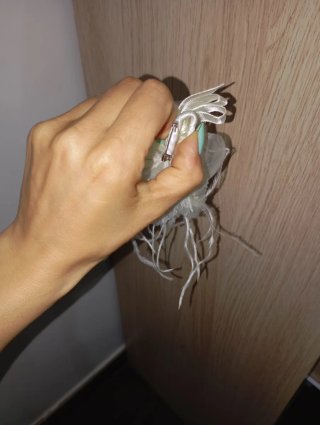 Adorno de pelo blanco con plumas