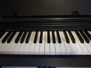 Piano Casio Privia Negro