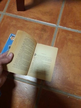 2 libros Perry masion