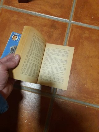 2 libros Perry masion