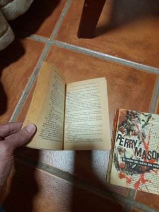 2 libros Perry masion
