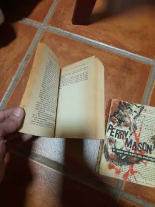 2 libros Perry masion