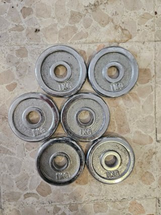 6 Discos de Pesas 1Kg