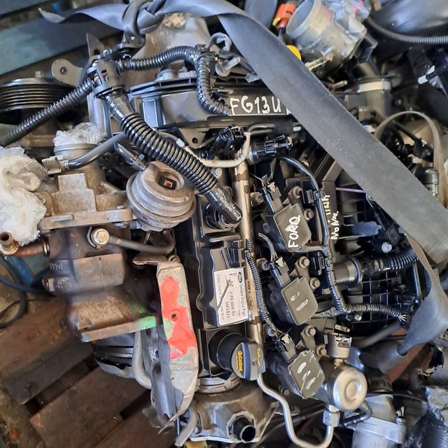 Motor Ford 1.0 EcoBoost 2021 F1FG-6006-BA
